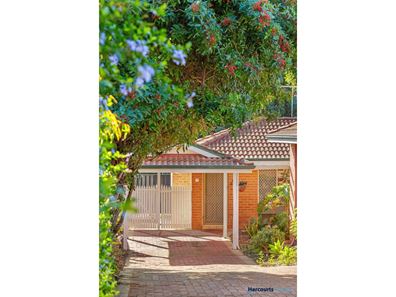 3/38 Ramsdale Street, Doubleview WA 6018