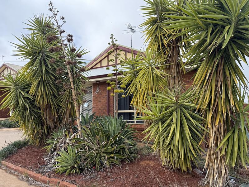 1/3 Kitchener Road, Mullingar WA 6430