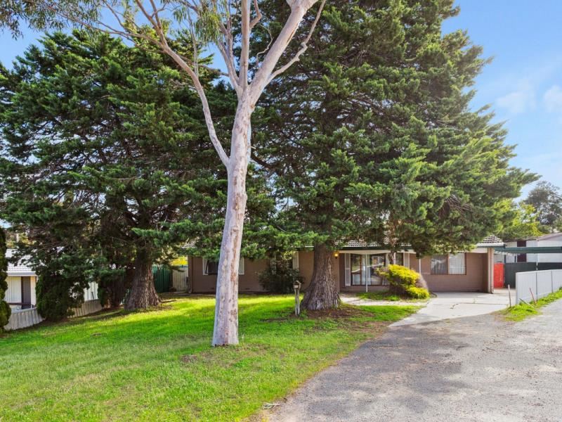 17 Macedon Place, Craigie WA 6025