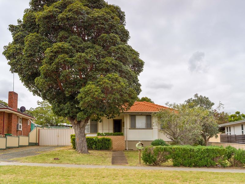6 Davon Street, Hamilton Hill