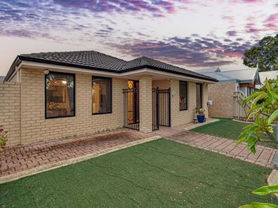 41 Tollesbury Avenue, Butler WA 6036