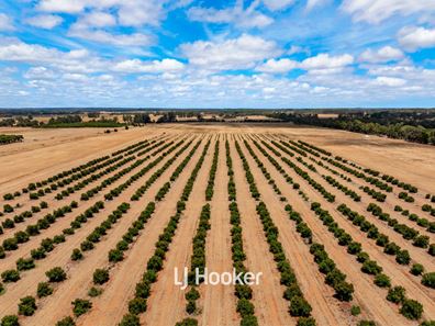 73/ Payne Road, Kaloorup WA 6280