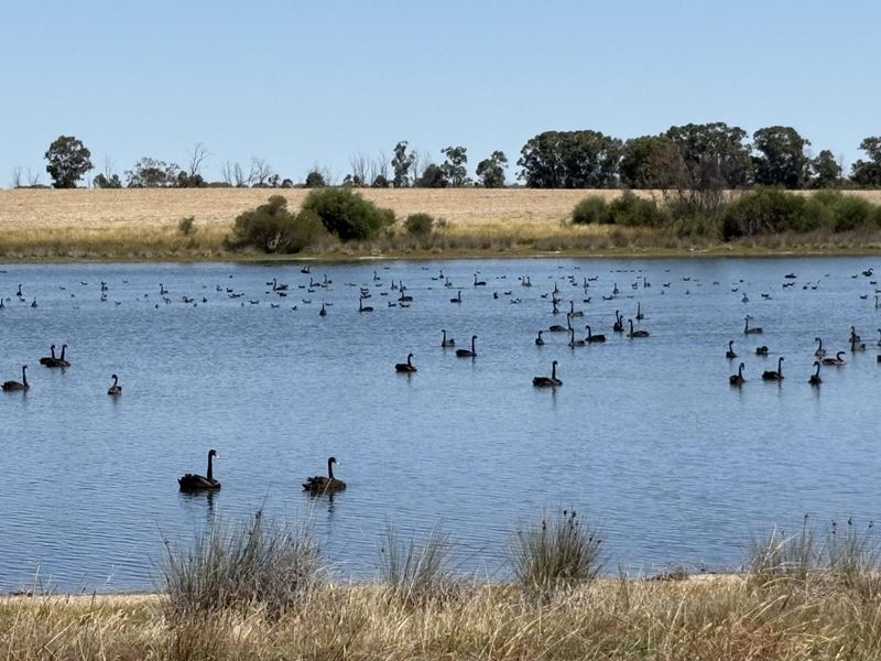 4779 Northwest Road, Dandaragan