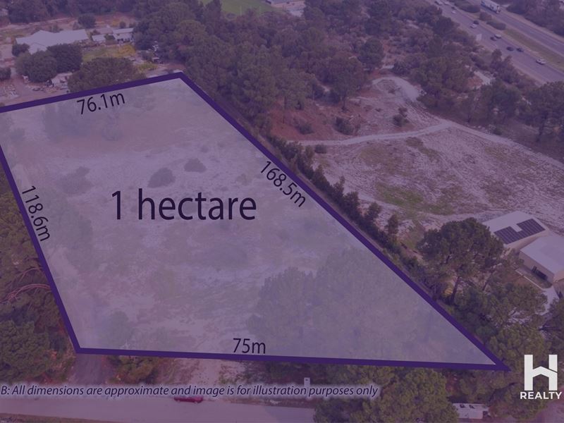 97 Dale Place, Orange Grove