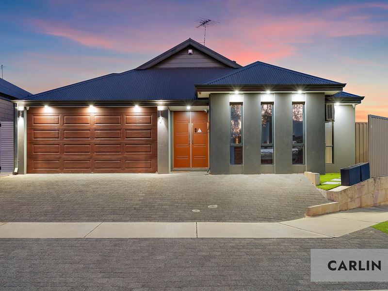 7 Delphinium Way, Beeliar WA 6164