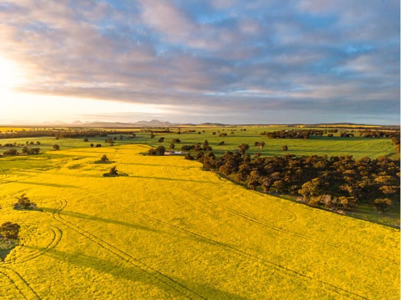 "Wareenup" Newton Road, Cranbrook WA 6321