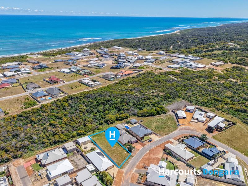64 Premier Circle, Dongara WA 6525