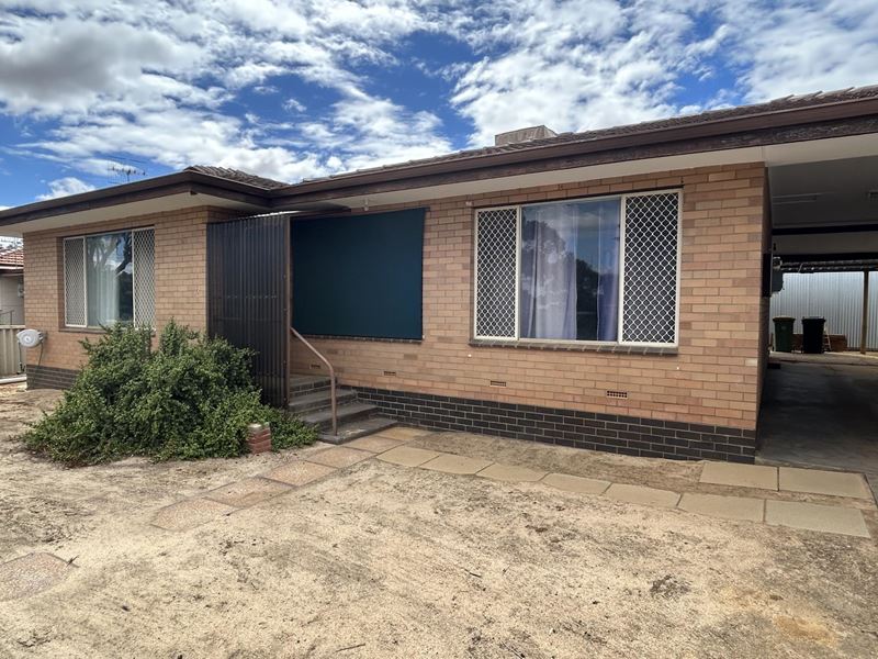 11 Greenham Street, Koorda WA 6475