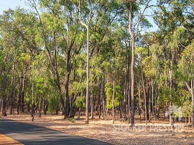 Proposed Lot 73, The Woods on Rendezvous, Vasse WA 6280