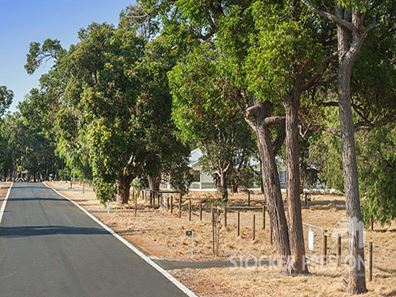 Proposed Lot 73, The Woods on Rendezvous, Vasse WA 6280