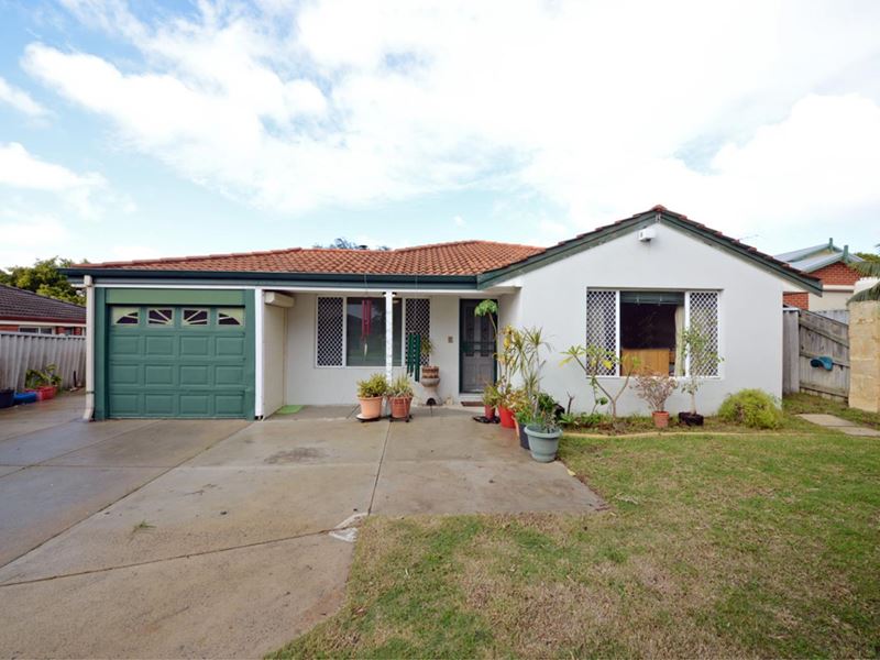 11 Whiston Crescent, Clarkson WA 6030