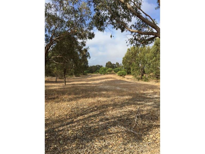 Lot 2 Acacia Road, Springfield