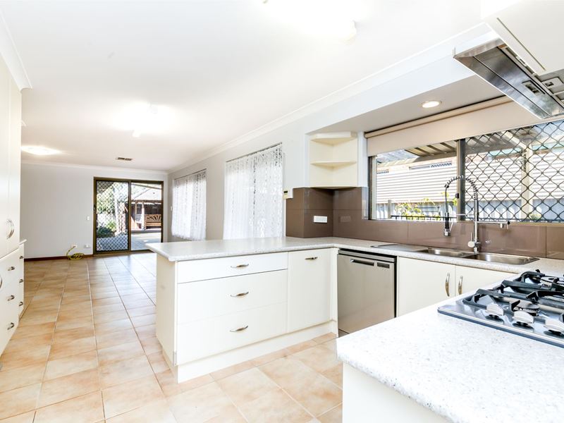 19 Plover Drive, Yangebup