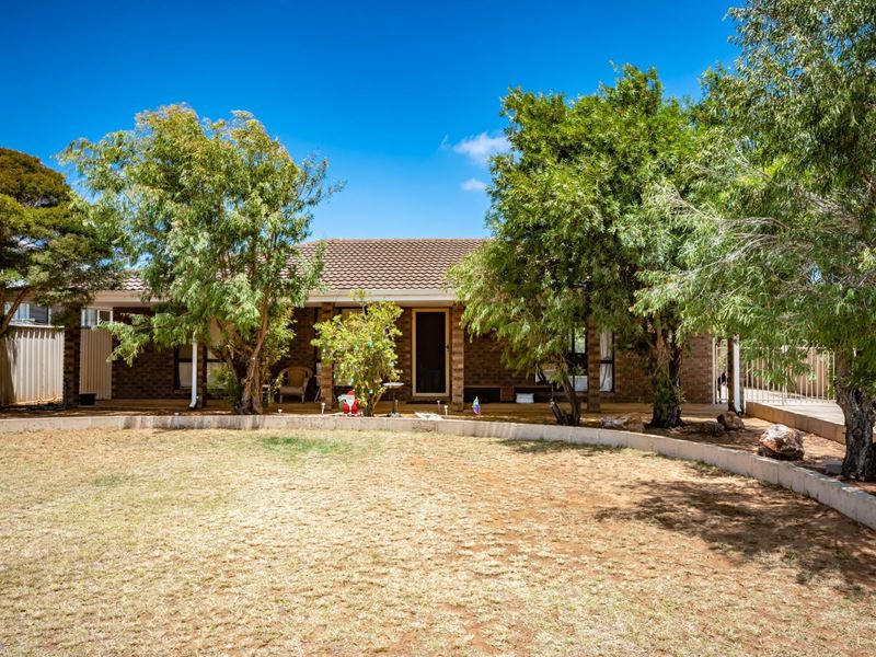 22 Pinyali Way, Waggrakine WA 6530