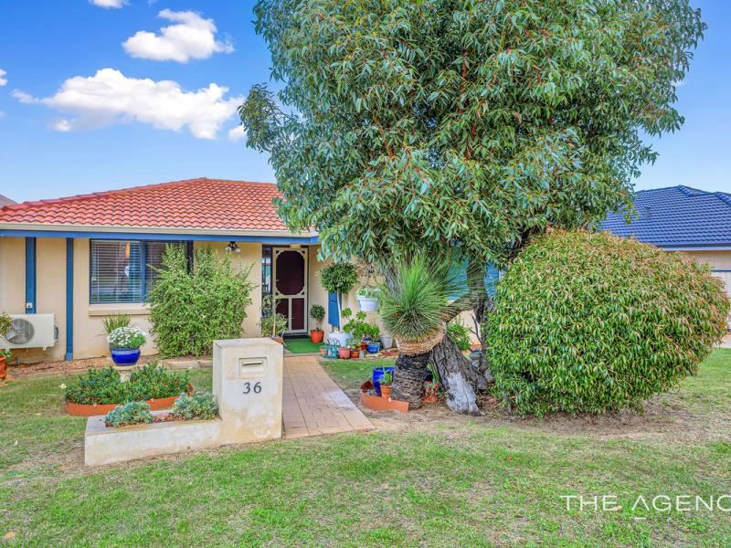 36 Quickly Crescent, Hamilton Hill