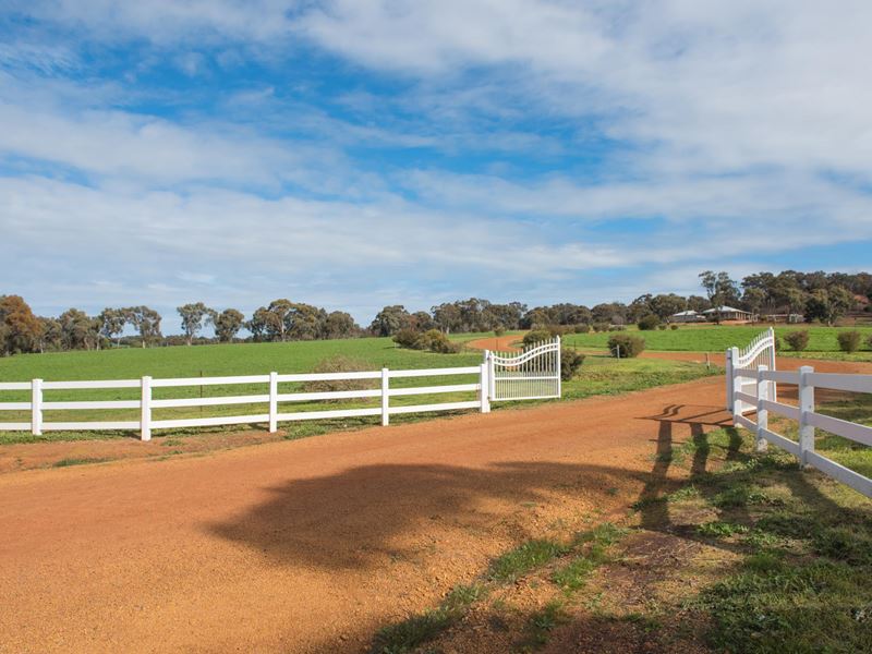 Part A Wandering - Narrogin Road, Cuballing WA 6311