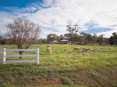 Part A Wandering - Narrogin Road, Cuballing WA 6311