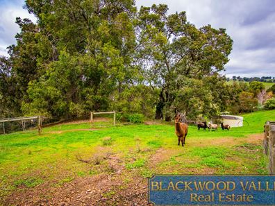 56 Bailey Heights, Balingup WA 6253