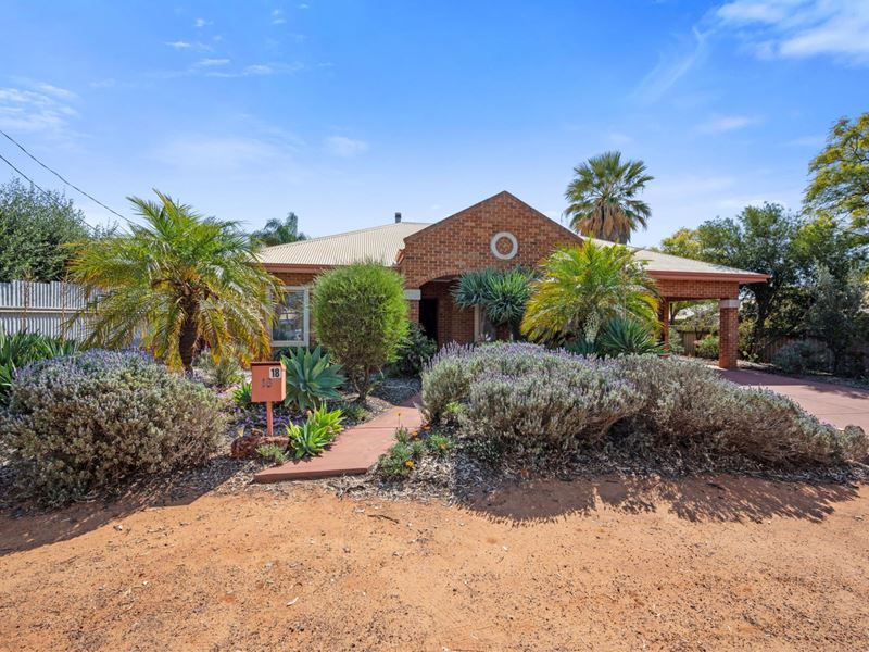 18 Lewis Street, Lamington