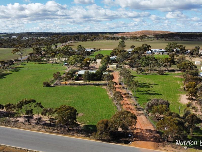 Lot 494 Haines Street, Merredin WA 6415