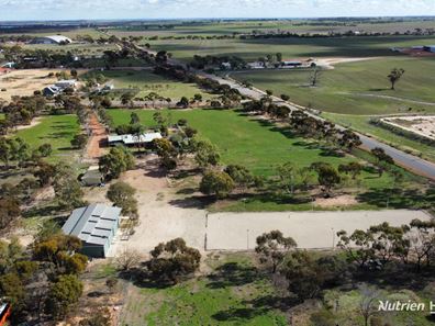 Lot 494 Haines Street, Merredin WA 6415