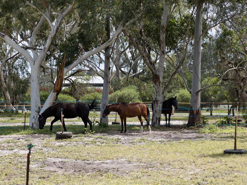 42 Holmes Road, Oakford WA 6121