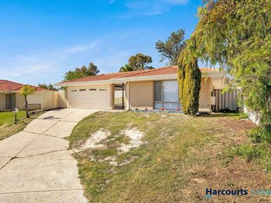 16 Wilmore Green, Mirrabooka WA 6061