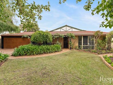 17 Hamlet Court, Bibra Lake WA 6163