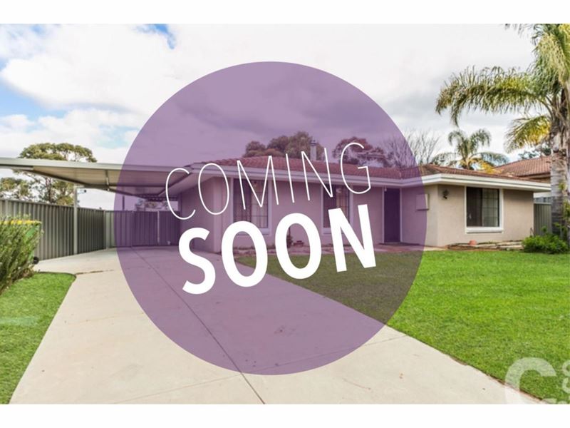 3A Joiner Place, Parmelia