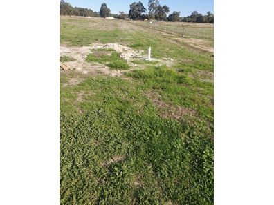 Lot 124 Dardanup West Road, Crooked Brook WA 6236