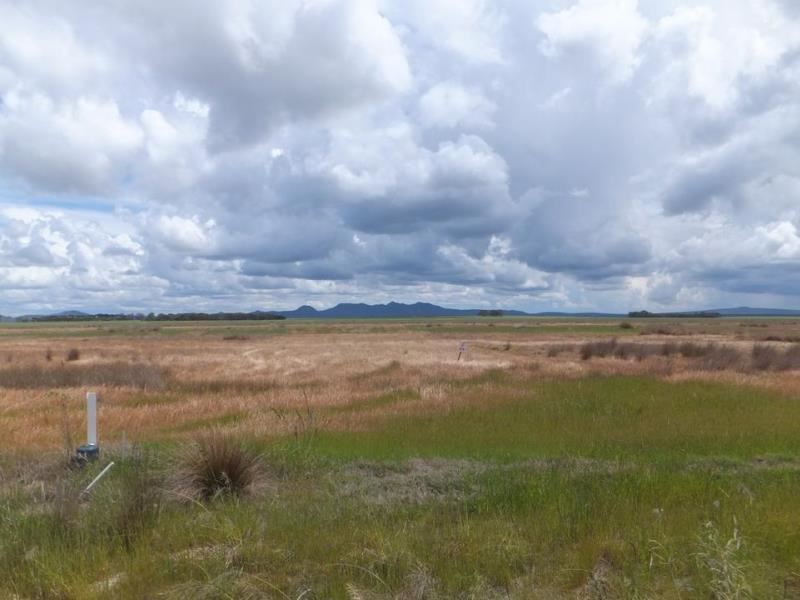 Daviesia Drive, Hopetoun
