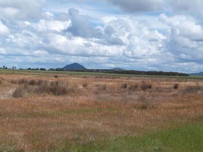 Daviesia Drive, Hopetoun WA 6348