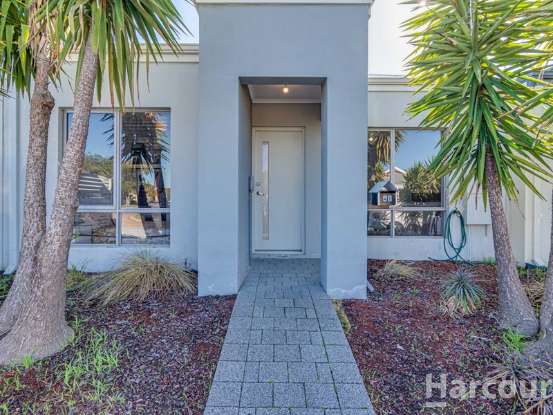 41 Tredegar Street, Butler WA 6036