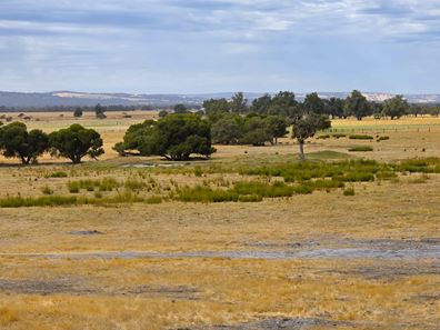 235 Nicholson Road, Cookernup WA 6219