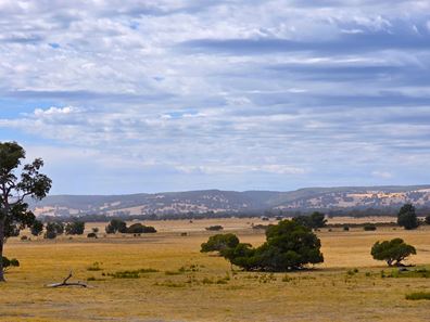 235 Nicholson Road, Cookernup WA 6219