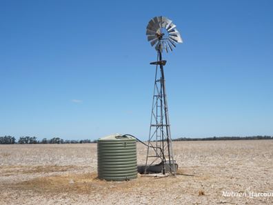 Lot 626 Gibson Road, Gibson WA 6448