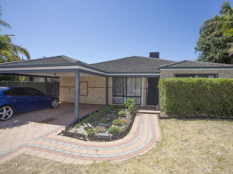 10 Mangrove Circuit, Banksia Grove WA 6031