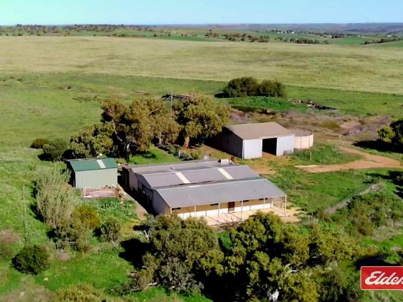 100 Johnson  Road, Alma