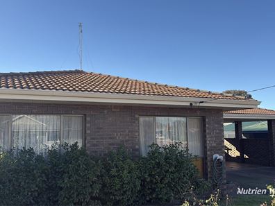24 Forrest Street, Narrogin WA 6312