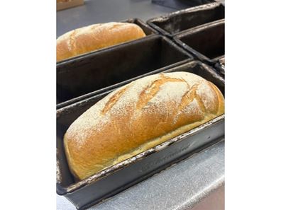 Food/Hospitality - Well-Established Family-Owned Bakery - SOR