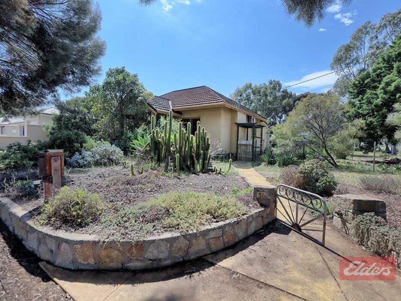 36 Ventnor Street, Wagin WA 6315