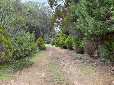 29 Wallangarra Drive North, Bedfordale WA 6112