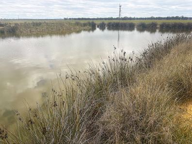 . 'Evandale', Kellerberrin WA 6410