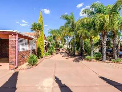 15 Gibbings Street, Northam WA 6401