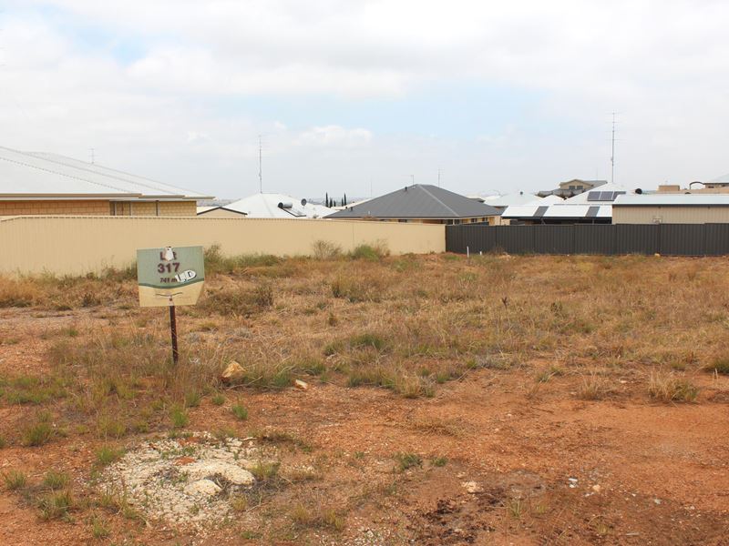 19 (Lot 317) Chipping Rise, Northam