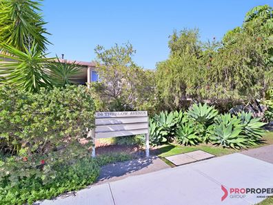 11/26 Thurlow Avenue, Yokine WA 6060