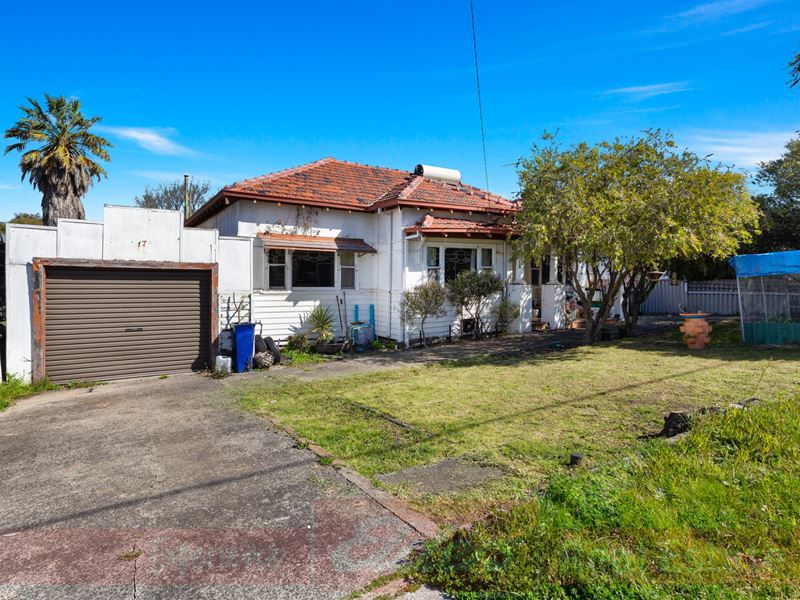 17 Ogden Street, Collie