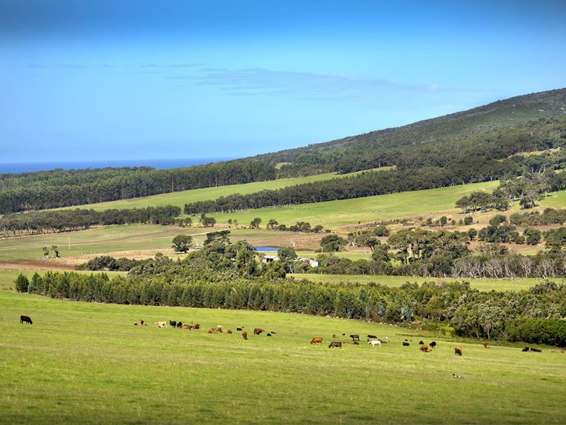 Lot 2 Mount Richard Road, Kalgan