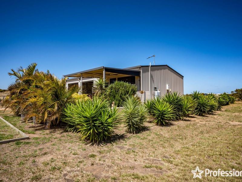 56 Dolbys Drive, Waggrakine WA 6530