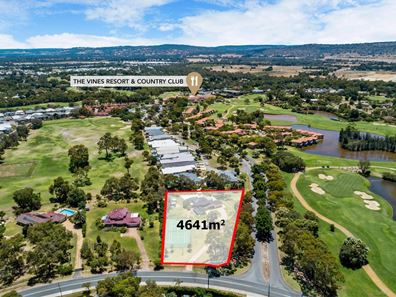 38 Vines Avenue, The Vines WA 6069